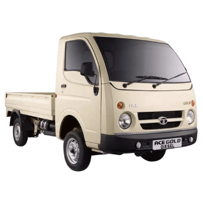 Choto hati (Ace gold)